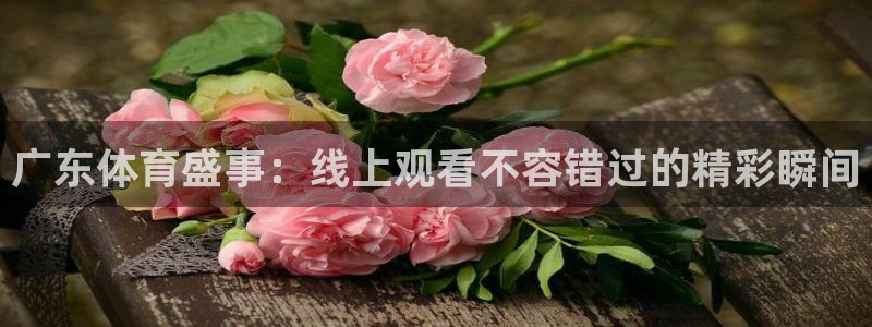 jrs直播低调看篮球直播：广东体育盛事：线上观看不容错过的精彩瞬间