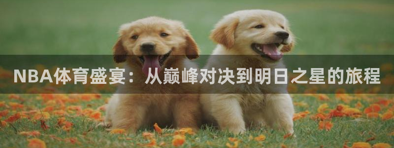 jrs直播nba低调看篮球：NBA体育盛宴：从巅峰对决到明日之星的旅程