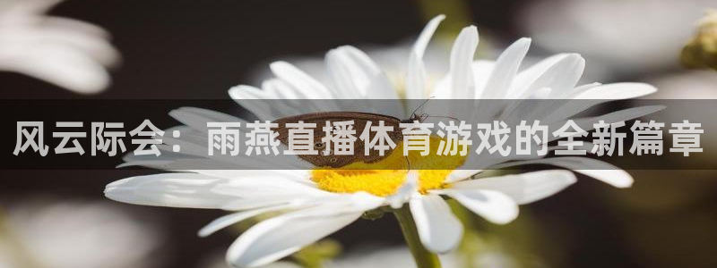 低调看球jrs直播：风云际会：雨燕直播体育游戏的全新篇章
