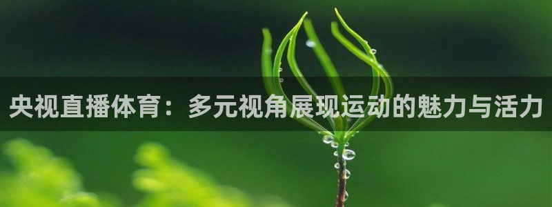 jrs直播看球吧：央视直播体育：多元视角展现运动的魅力与活力