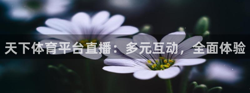 jrs直播体育网：天下体育平台直播：多元互动，全面体验