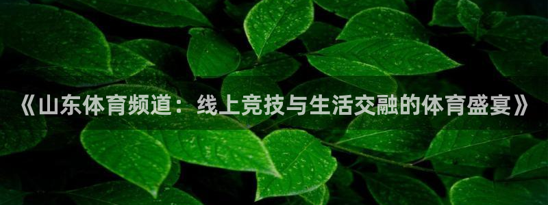 jrs直播nba(无插件)直播：《山东体育频道：线上竞技与生活交融的体育盛宴》