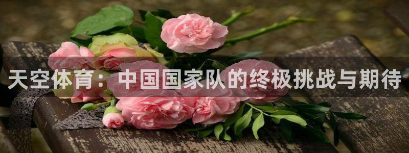jrs直播免费体育：天空体育：中国国家队的终极挑战与期待