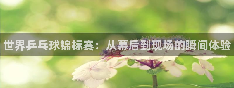 jrs直播nba(无插件)直播无插件：世界乒乓球锦标赛：从幕后到现场的瞬间体验