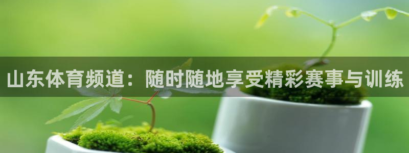 看球宝jrs直播nba：山东体育频道：随时随地享受精彩赛事与训练