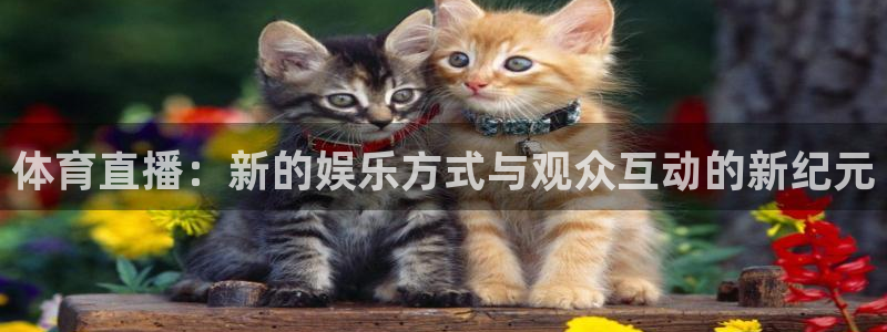 低调看jrs直播吧：体育直播：新的娱乐方式与观众互动的新纪元