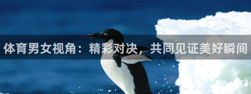 jrs直播cba：体育男女视角：精彩对决，共同见证美好瞬间