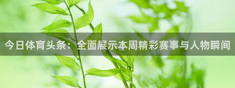jrs直播nba低调看篮球：今日体育头条：全面展示本周精彩赛事与人物瞬间