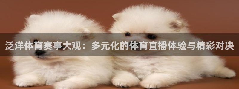 【jrs体育吧】jrs直播|低调看直播|nba直：泛洋体育赛事大观：多元化的体育直播体验与精彩对决