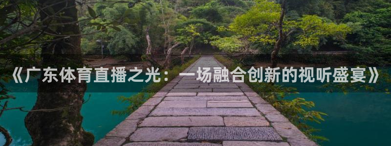 jrs直播nba(无插件)直播：《广东体育直播之光：一场融合创新的视听盛宴》